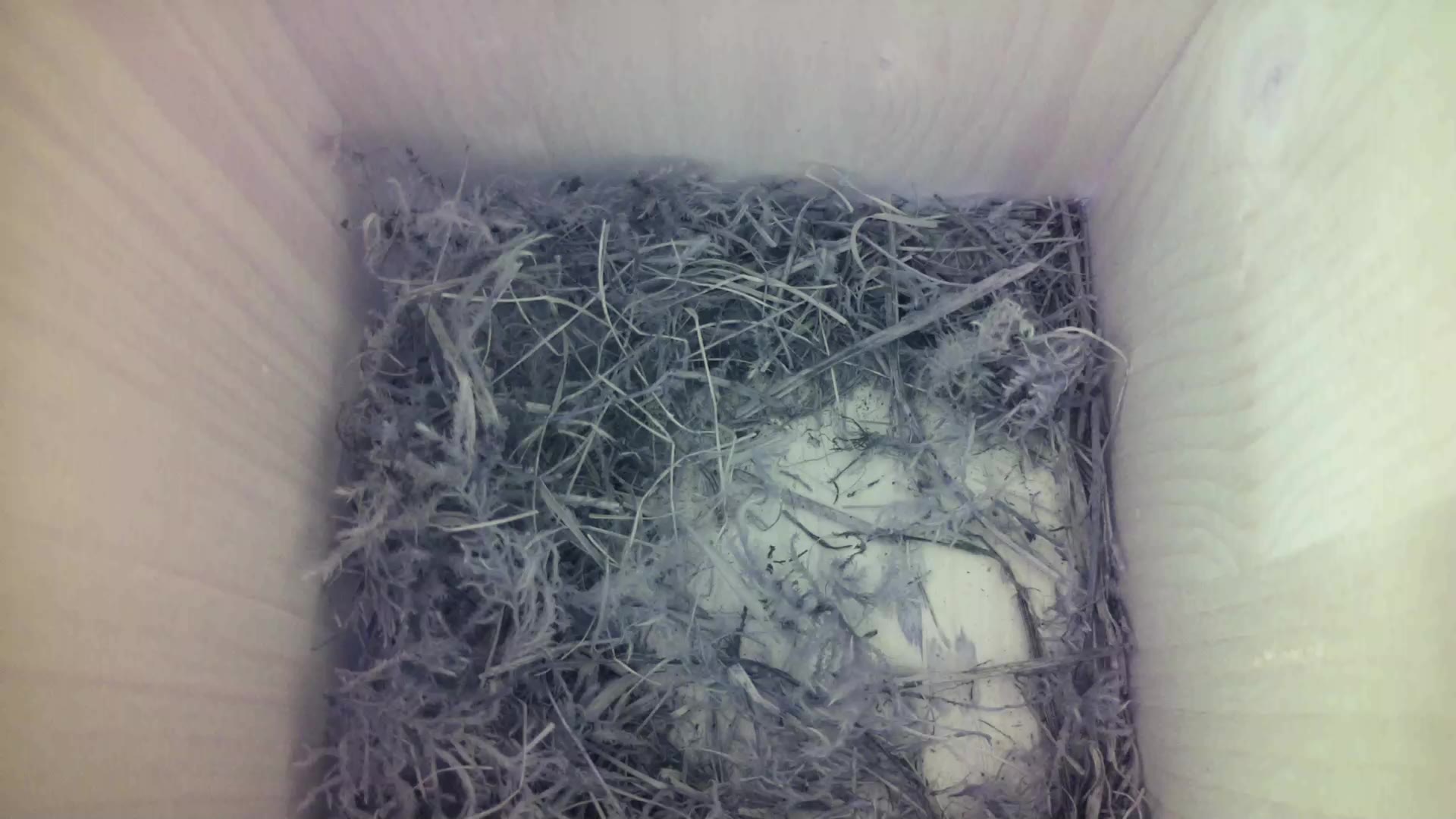 Aufnahme aus dem Vogelhaus