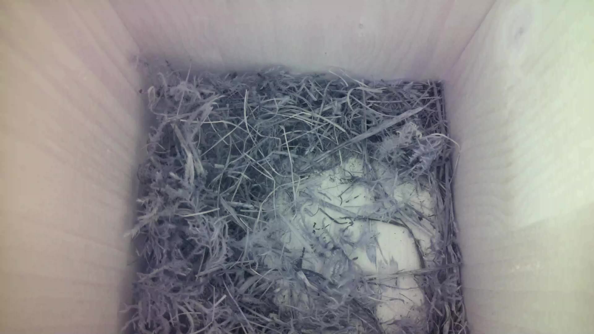 Aufnahme aus dem Vogelhaus