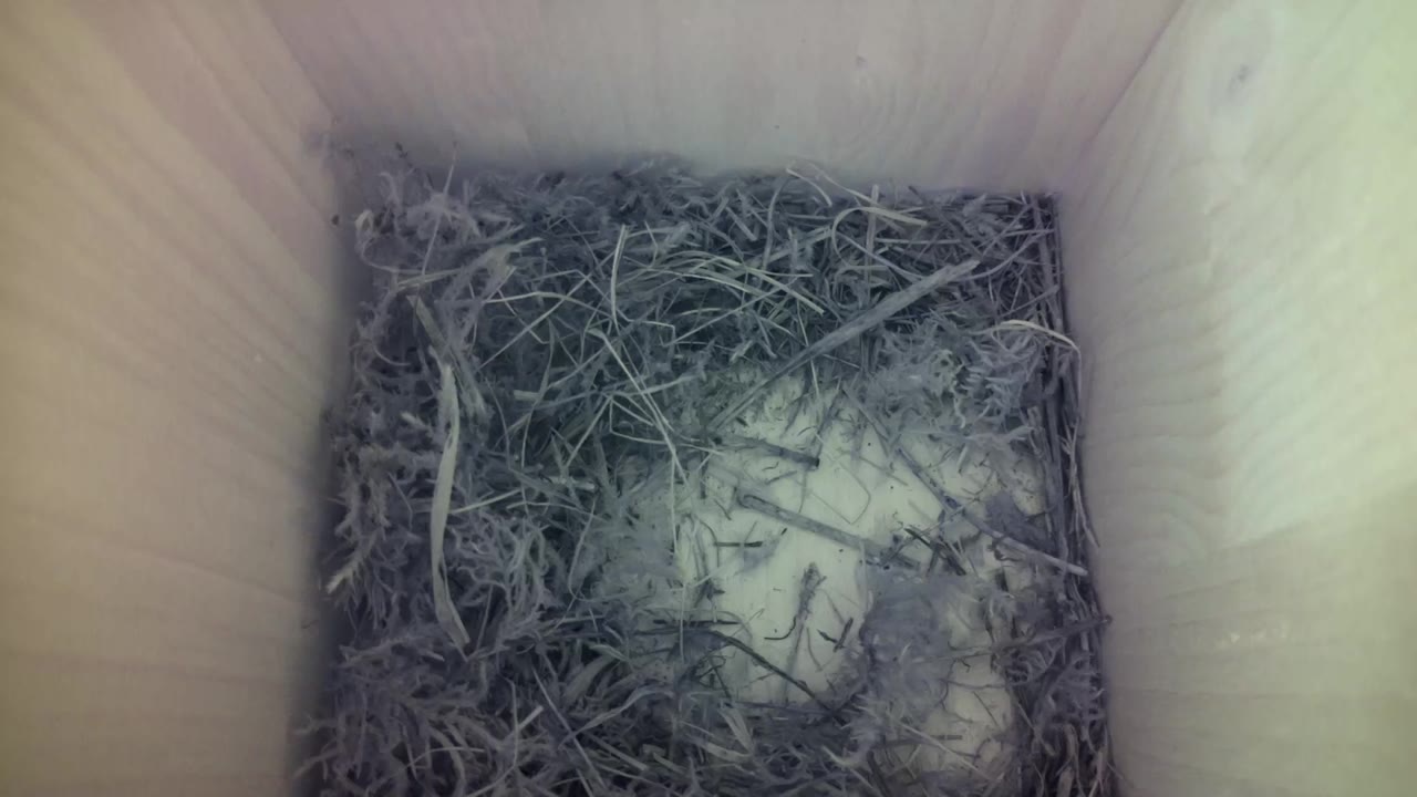 Aufnahme aus dem Vogelhaus