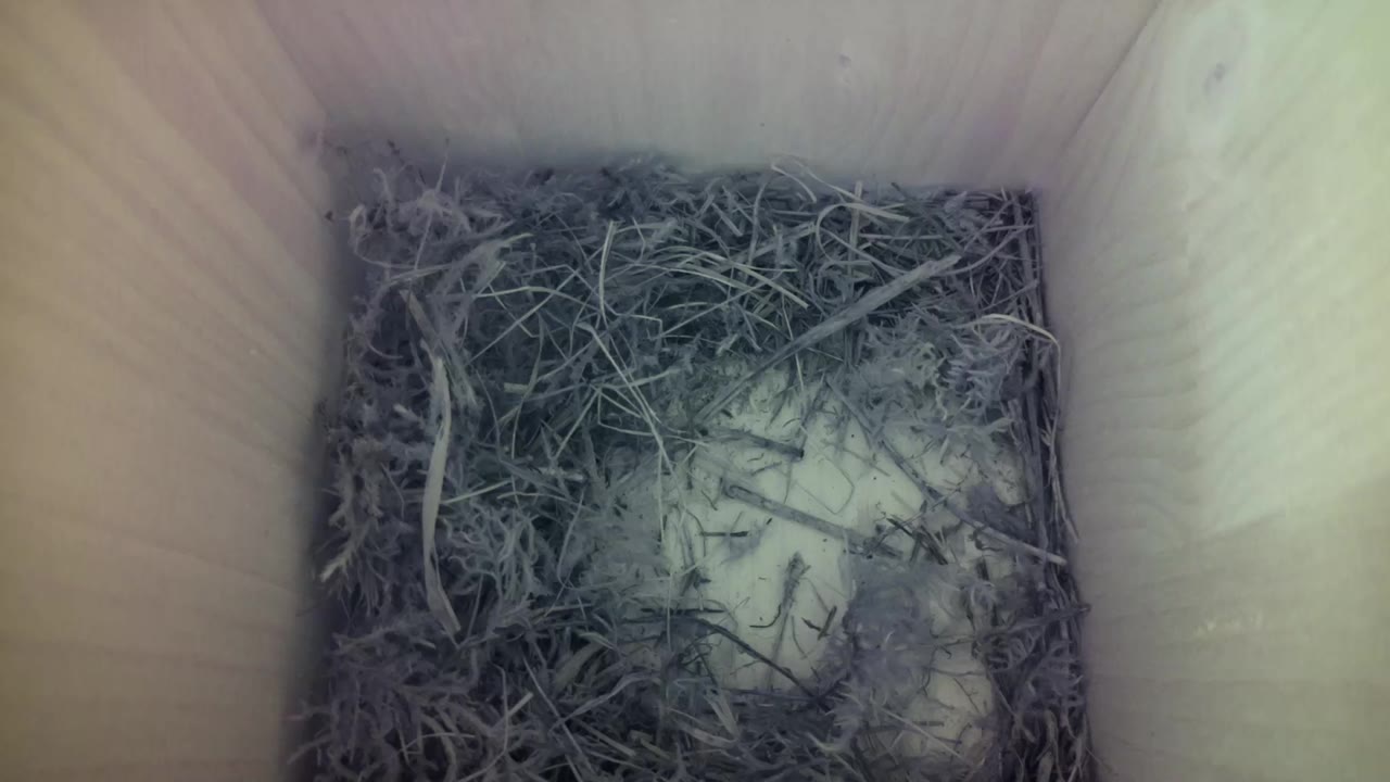 Aufnahme aus dem Vogelhaus