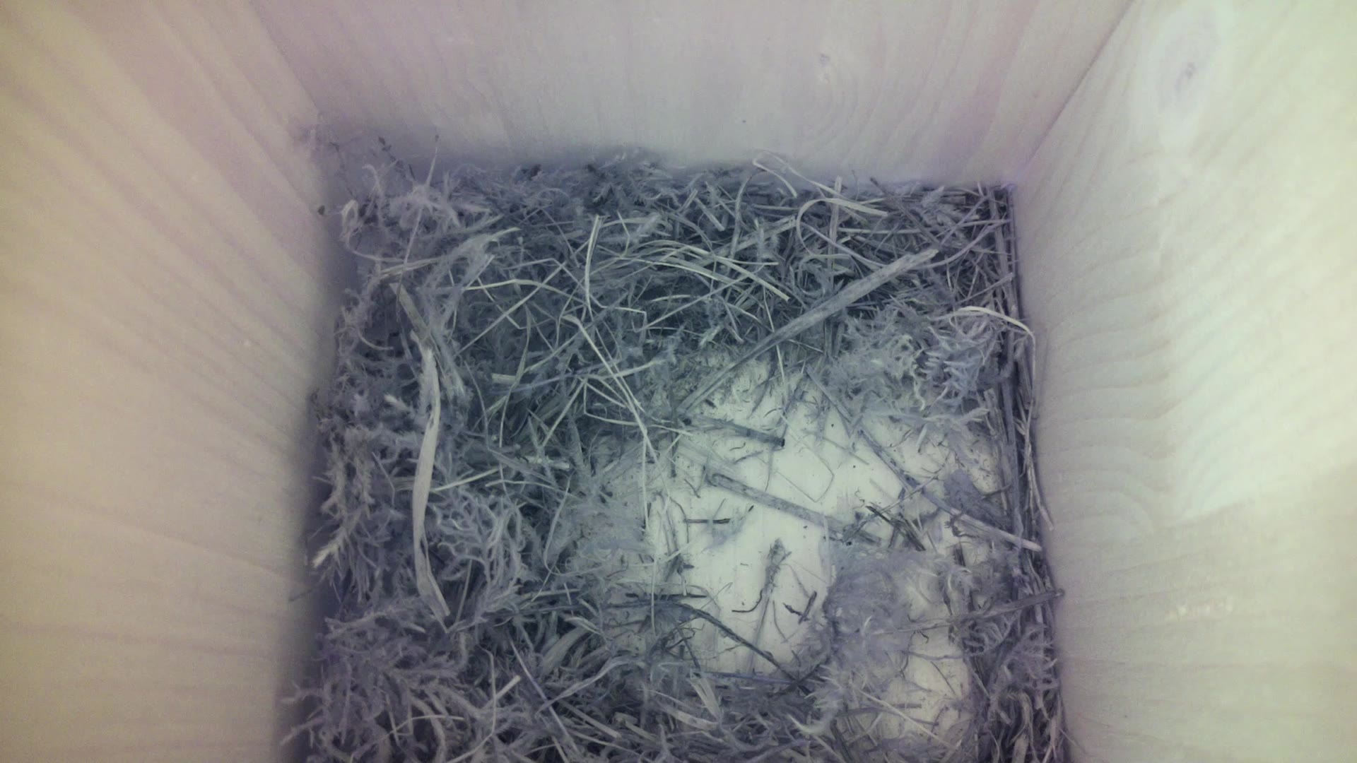 Aufnahme aus dem Vogelhaus