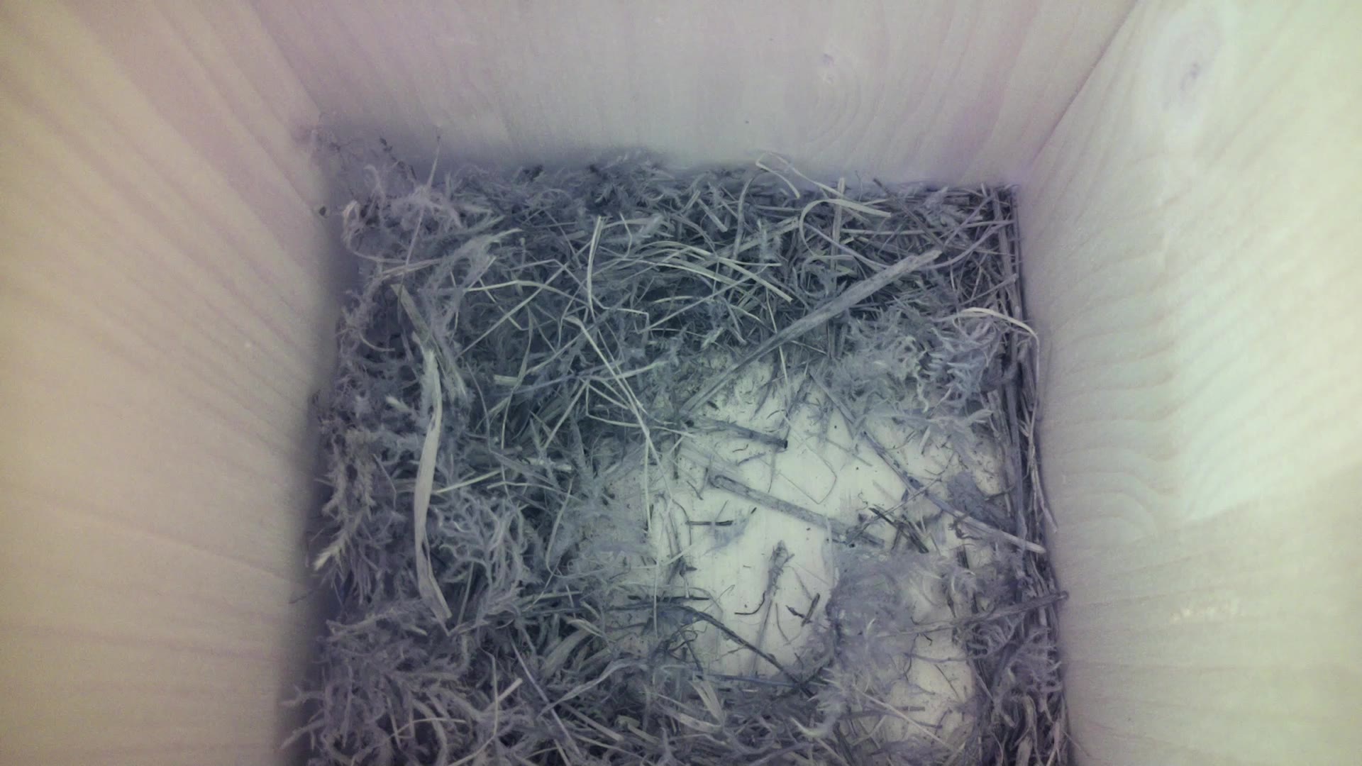 Aufnahme aus dem Vogelhaus