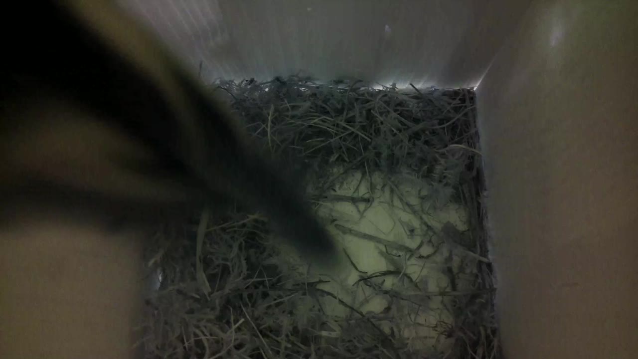 Aufnahme aus dem Vogelhaus