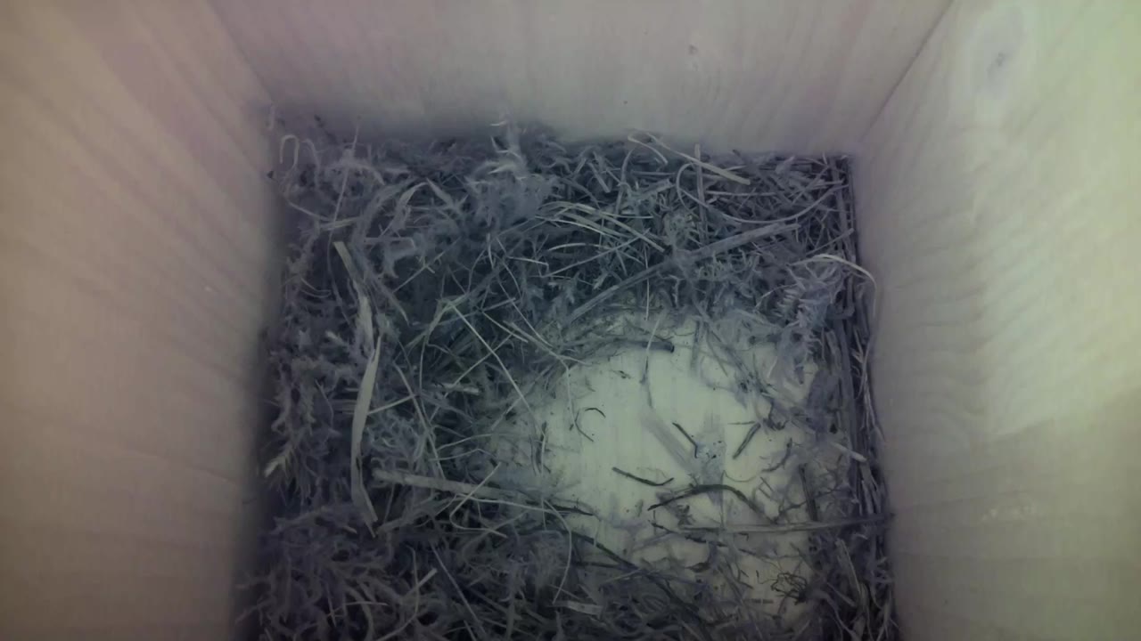 Aufnahme aus dem Vogelhaus