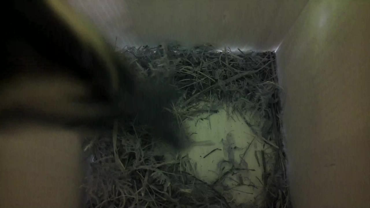 Aufnahme aus dem Vogelhaus