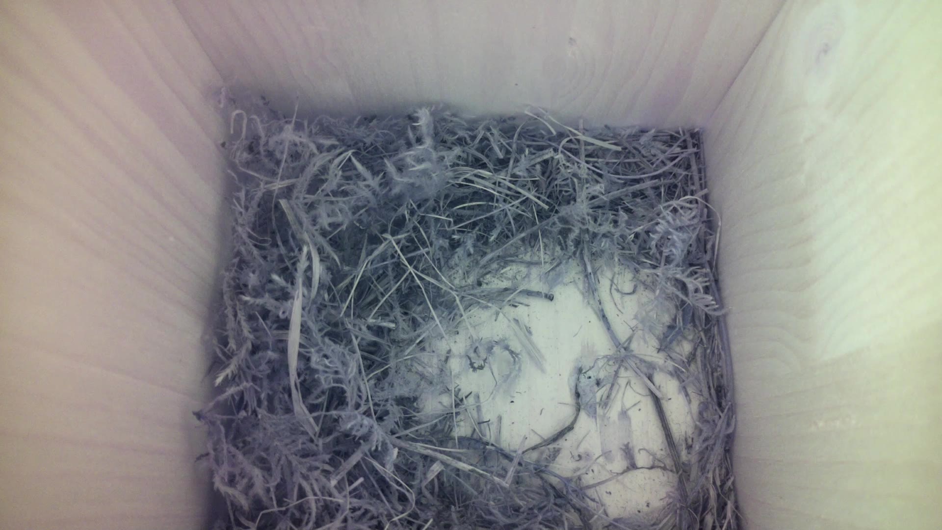 Aufnahme aus dem Vogelhaus