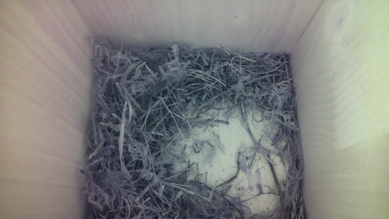 Aufnahme aus dem Vogelhaus