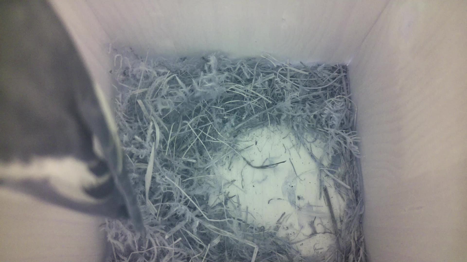 Aufnahme aus dem Vogelhaus