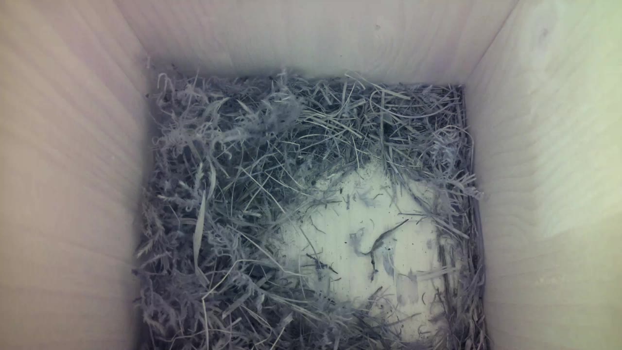 Aufnahme aus dem Vogelhaus