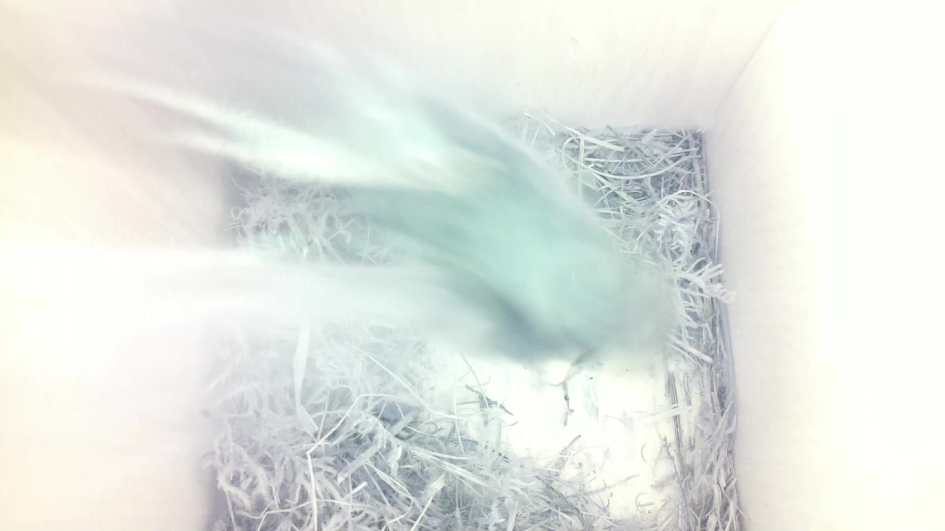 Aufnahme aus dem Vogelhaus