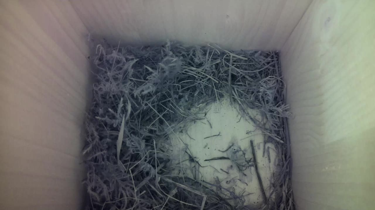 Aufnahme aus dem Vogelhaus