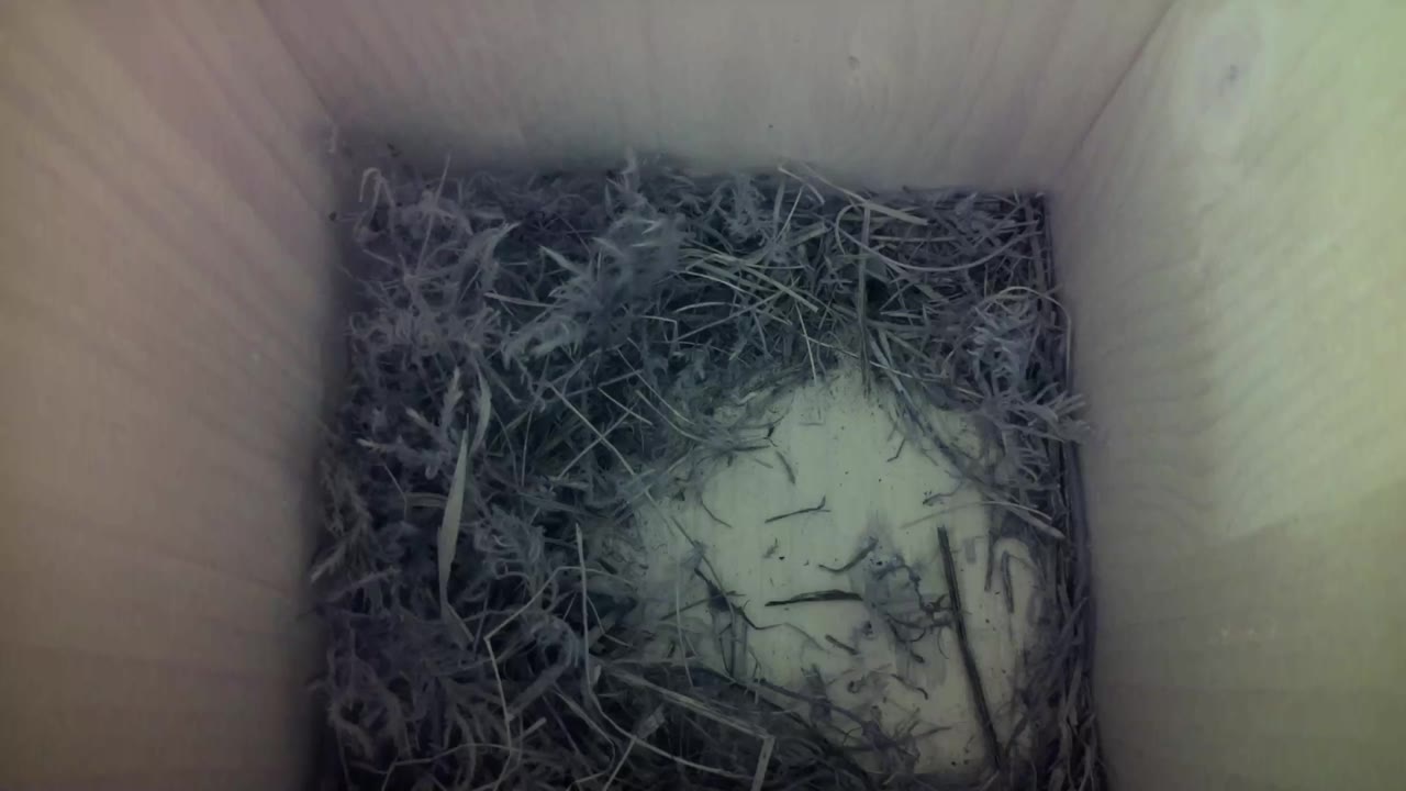 Aufnahme aus dem Vogelhaus