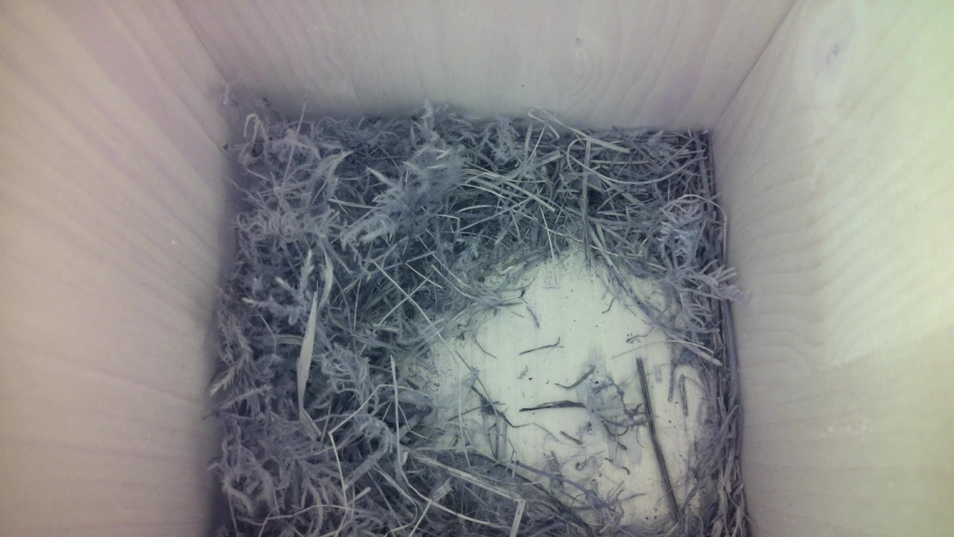 Aufnahme aus dem Vogelhaus