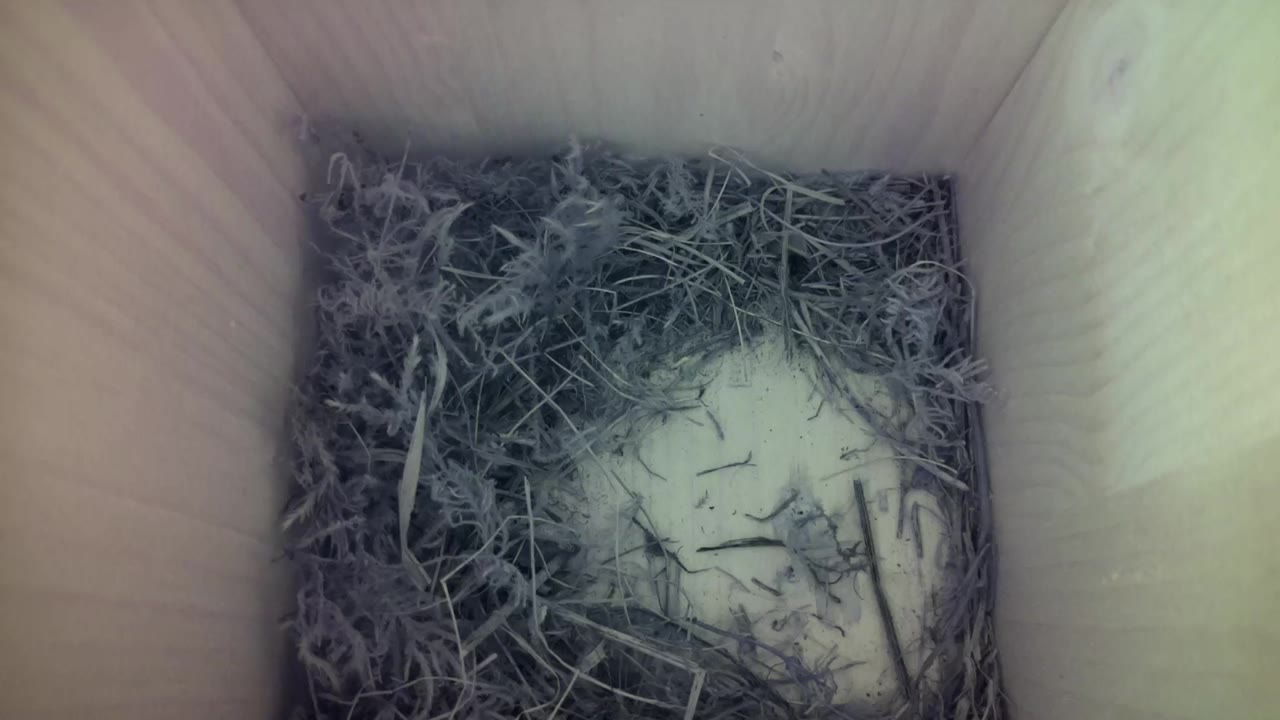 Aufnahme aus dem Vogelhaus