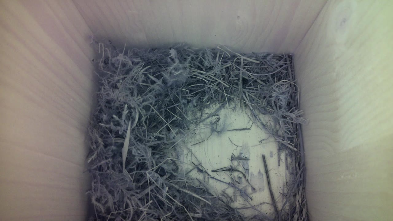 Aufnahme aus dem Vogelhaus