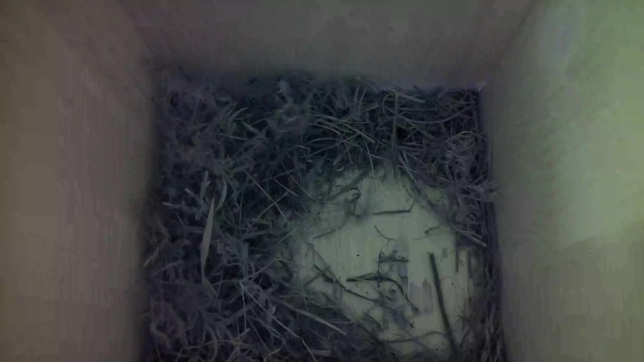 Aufnahme aus dem Vogelhaus