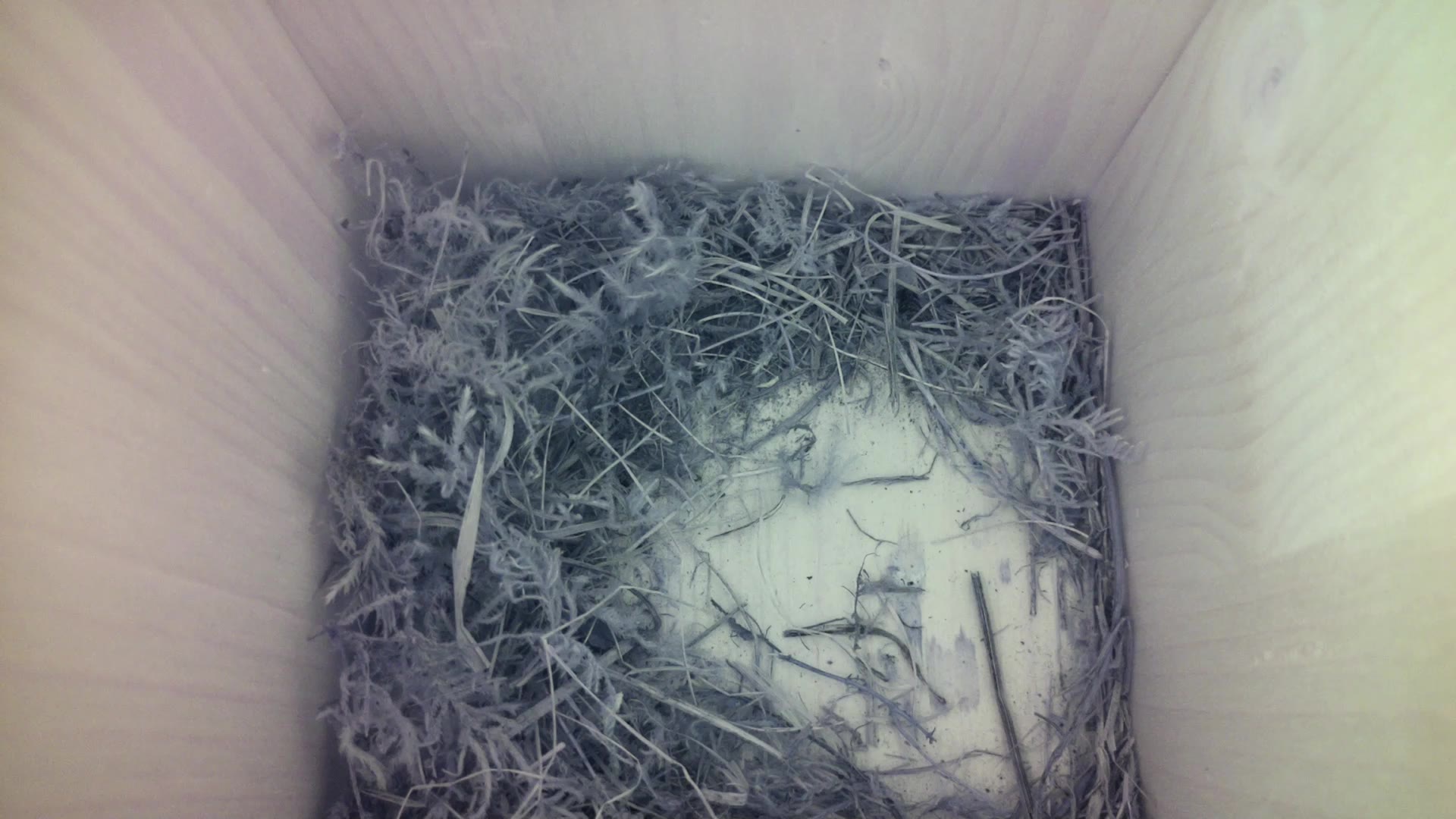Aufnahme aus dem Vogelhaus