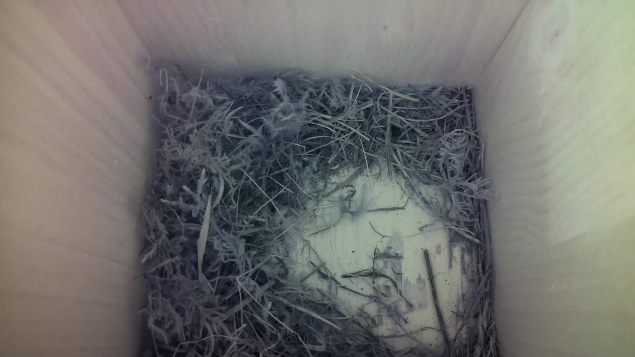 Aufnahme aus dem Vogelhaus