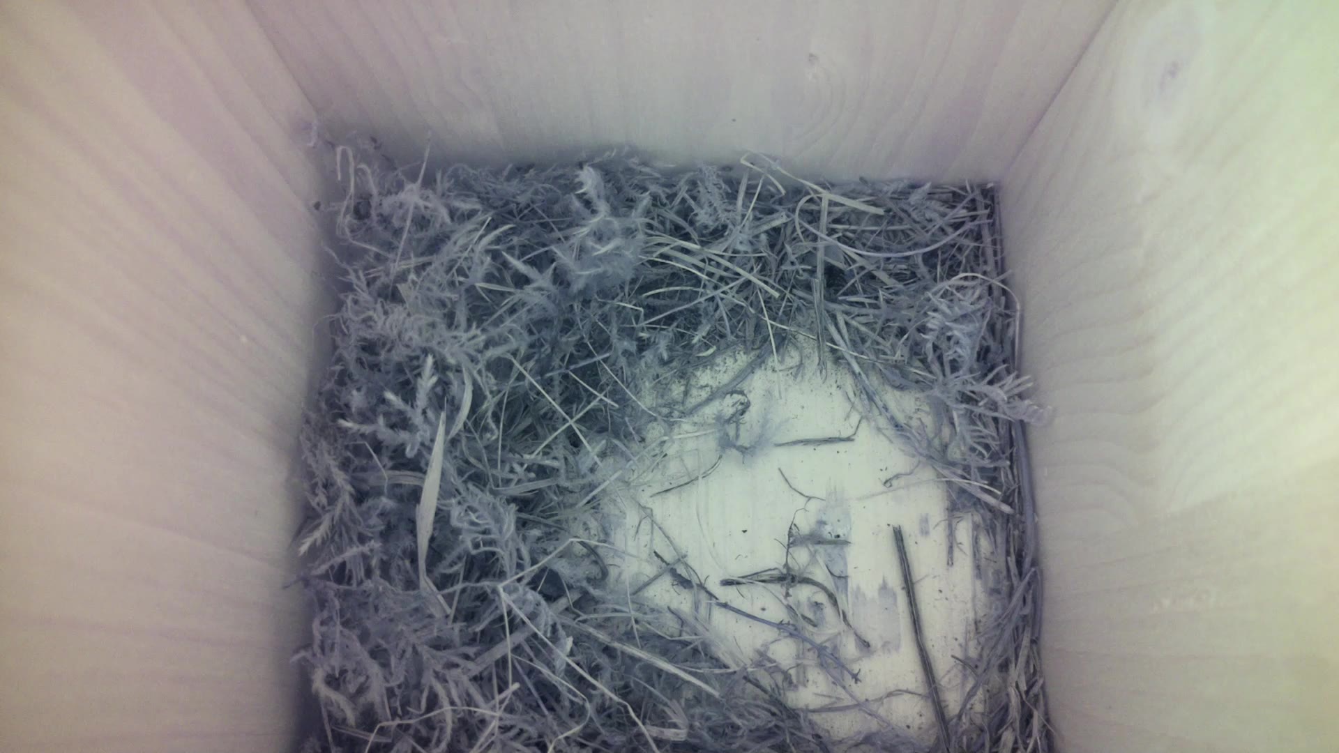 Aufnahme aus dem Vogelhaus