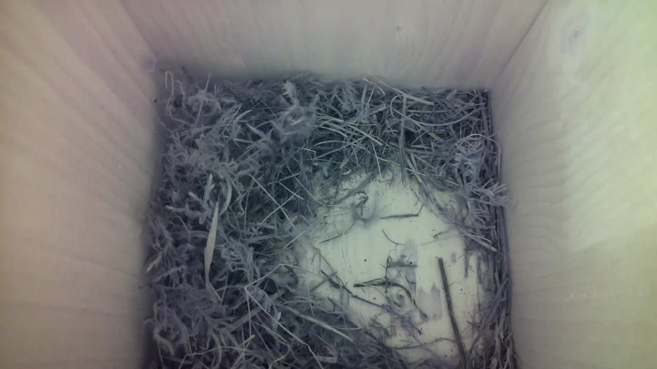 Aufnahme aus dem Vogelhaus