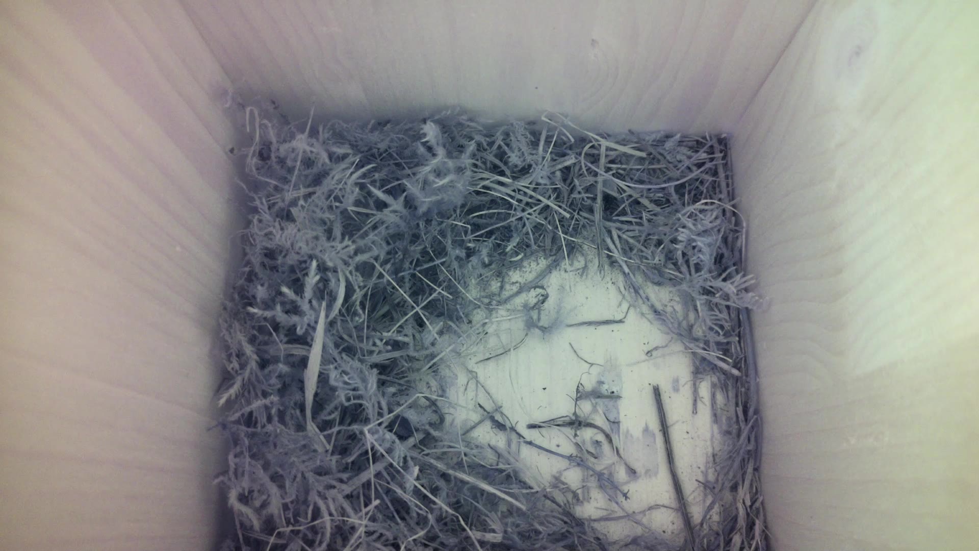 Aufnahme aus dem Vogelhaus