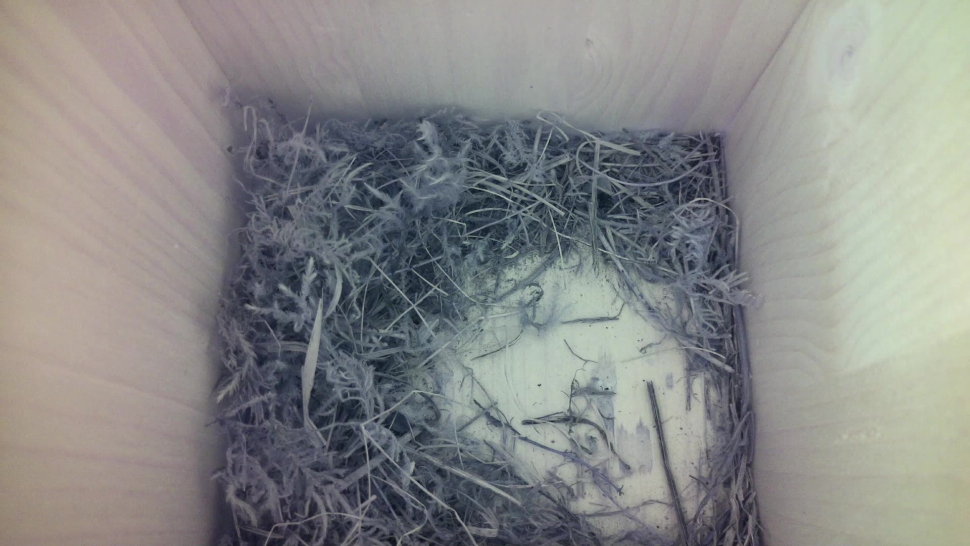 Aufnahme aus dem Vogelhaus