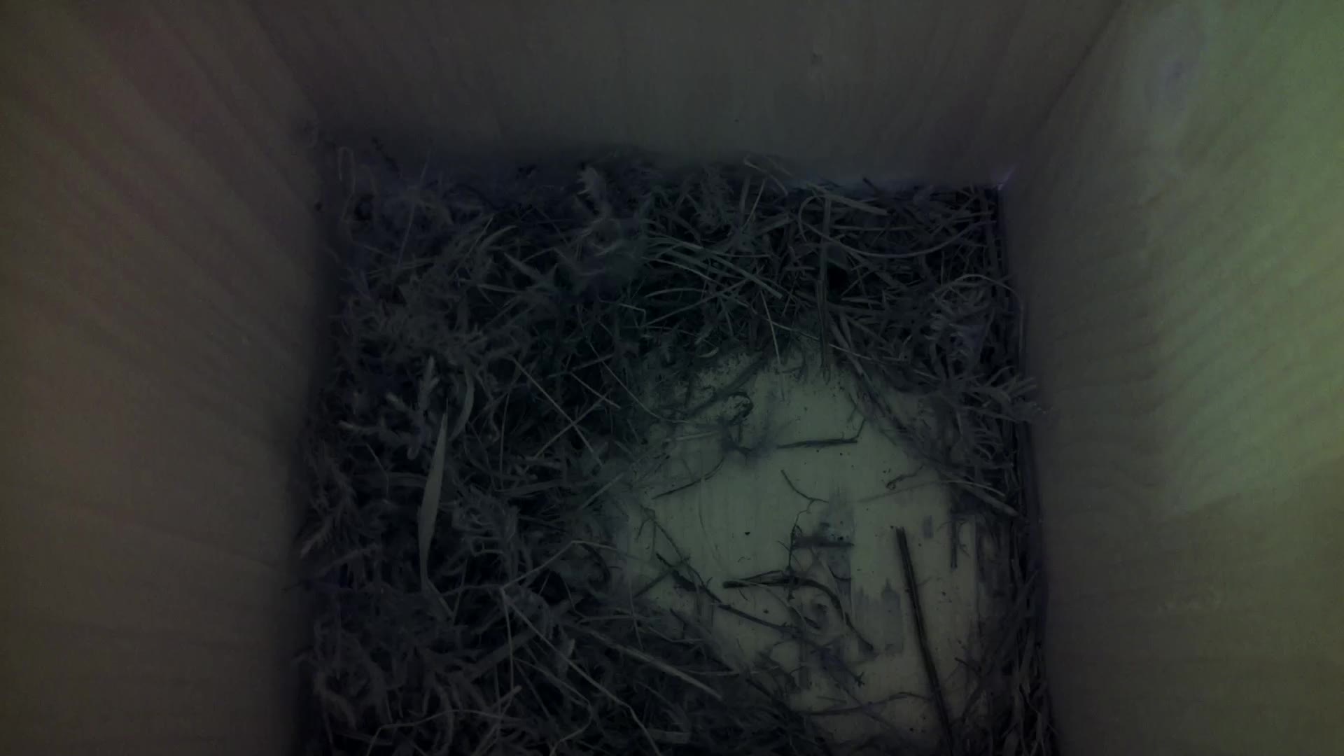 Aufnahme aus dem Vogelhaus