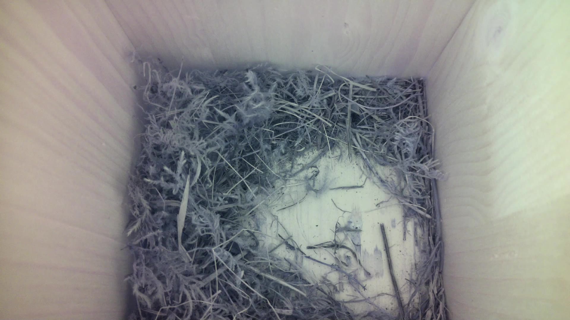 Aufnahme aus dem Vogelhaus