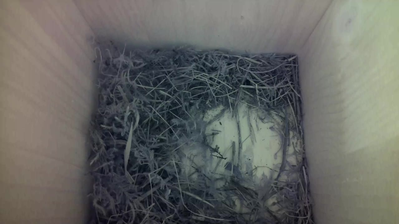 Aufnahme aus dem Vogelhaus