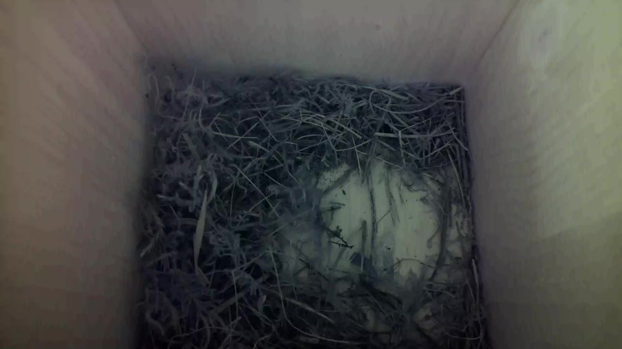 Aufnahme aus dem Vogelhaus