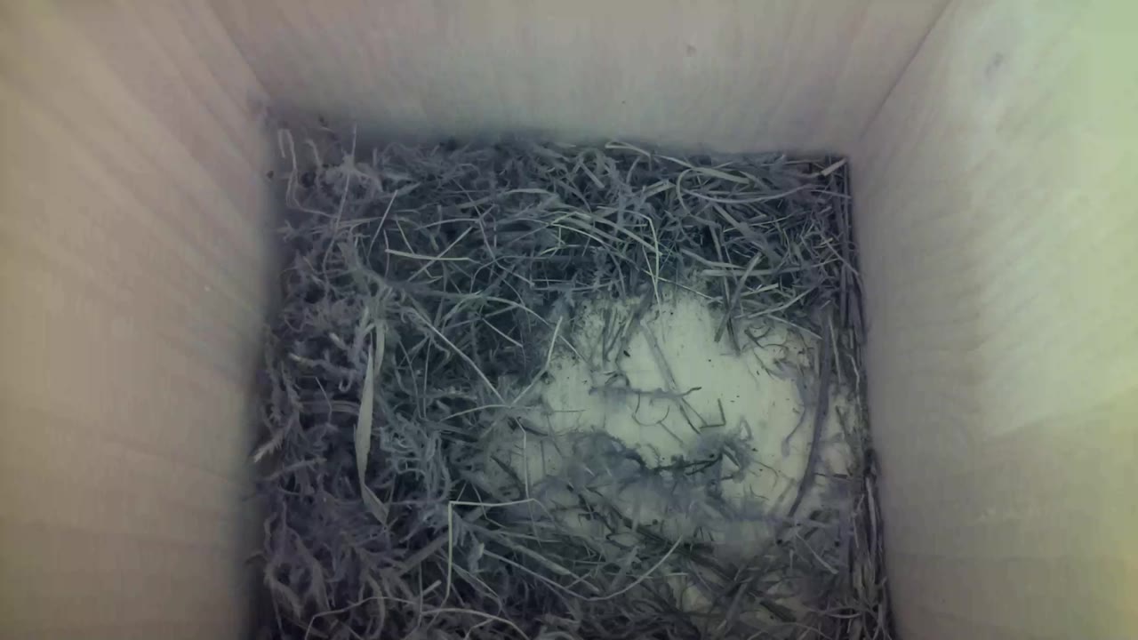 Aufnahme aus dem Vogelhaus