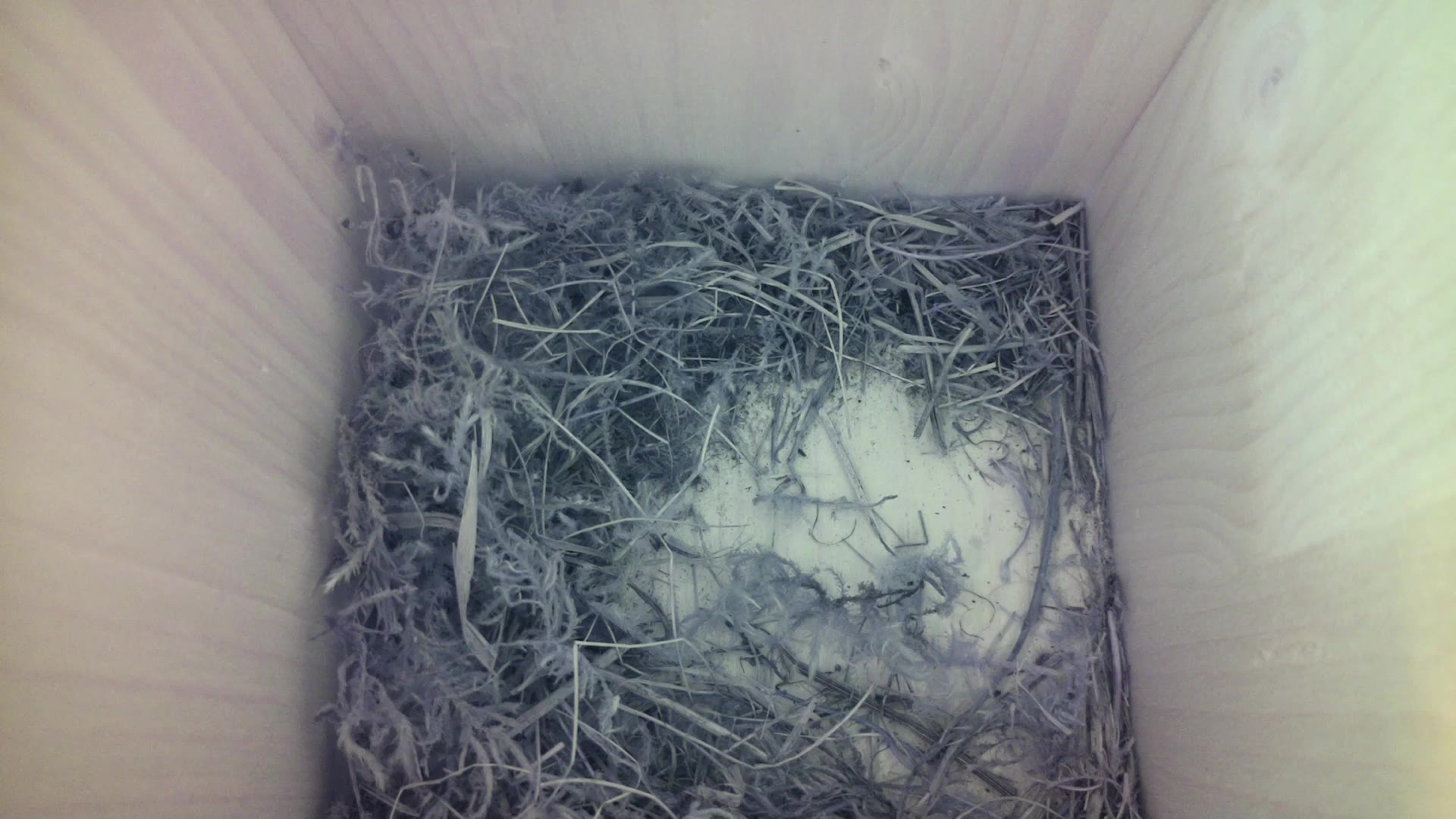Aufnahme aus dem Vogelhaus