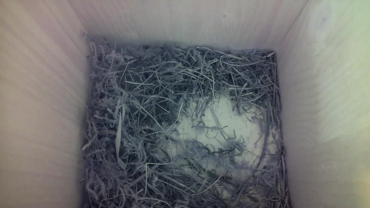 Aufnahme aus dem Vogelhaus