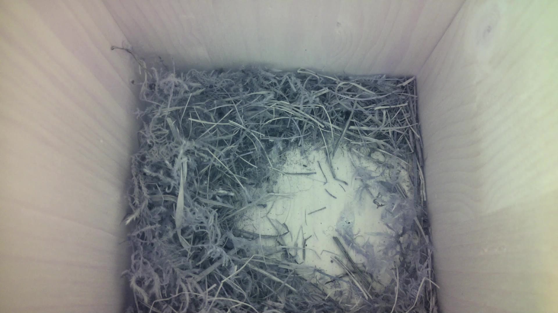 Aufnahme aus dem Vogelhaus