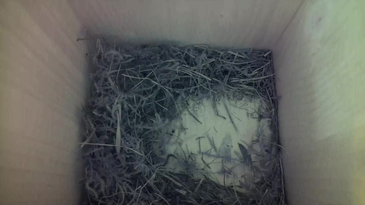 Aufnahme aus dem Vogelhaus