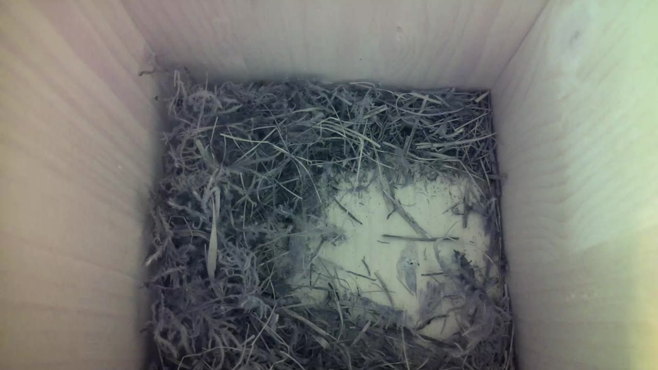 Aufnahme aus dem Vogelhaus