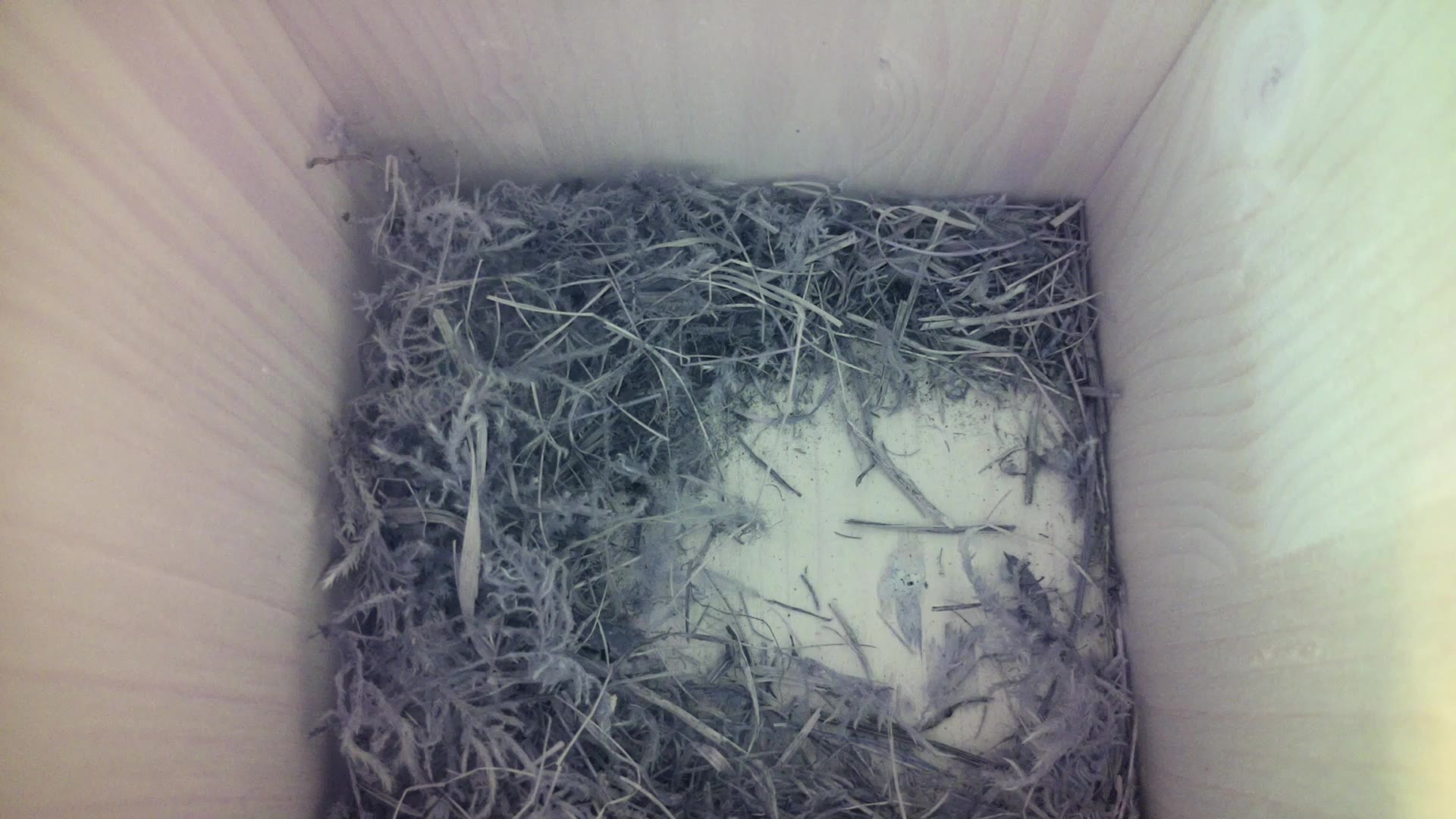 Aufnahme aus dem Vogelhaus