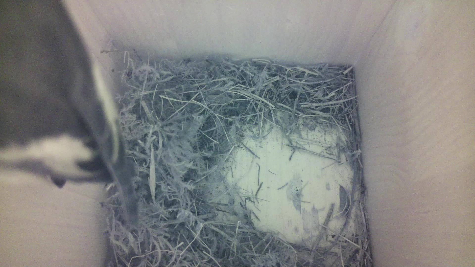 Aufnahme aus dem Vogelhaus