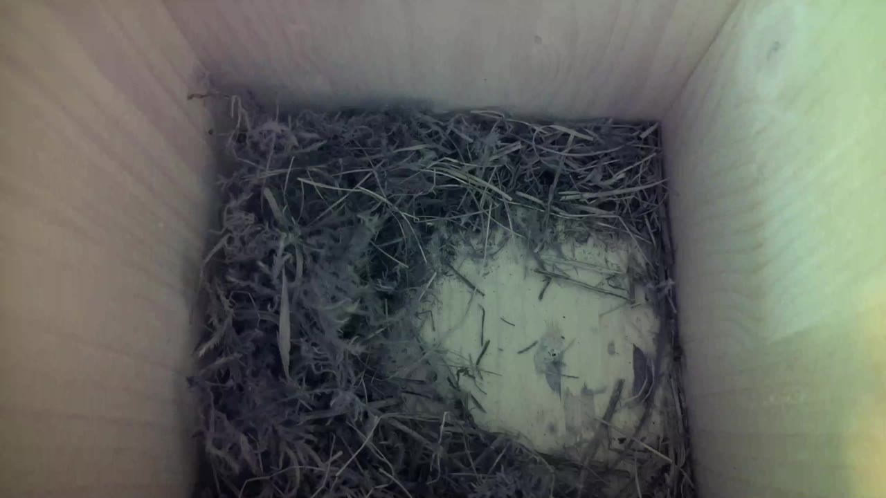 Aufnahme aus dem Vogelhaus