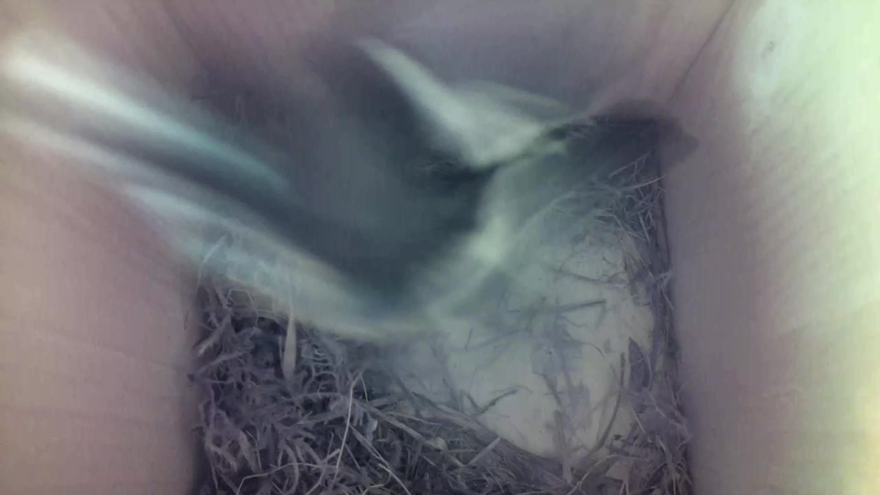 Aufnahme aus dem Vogelhaus