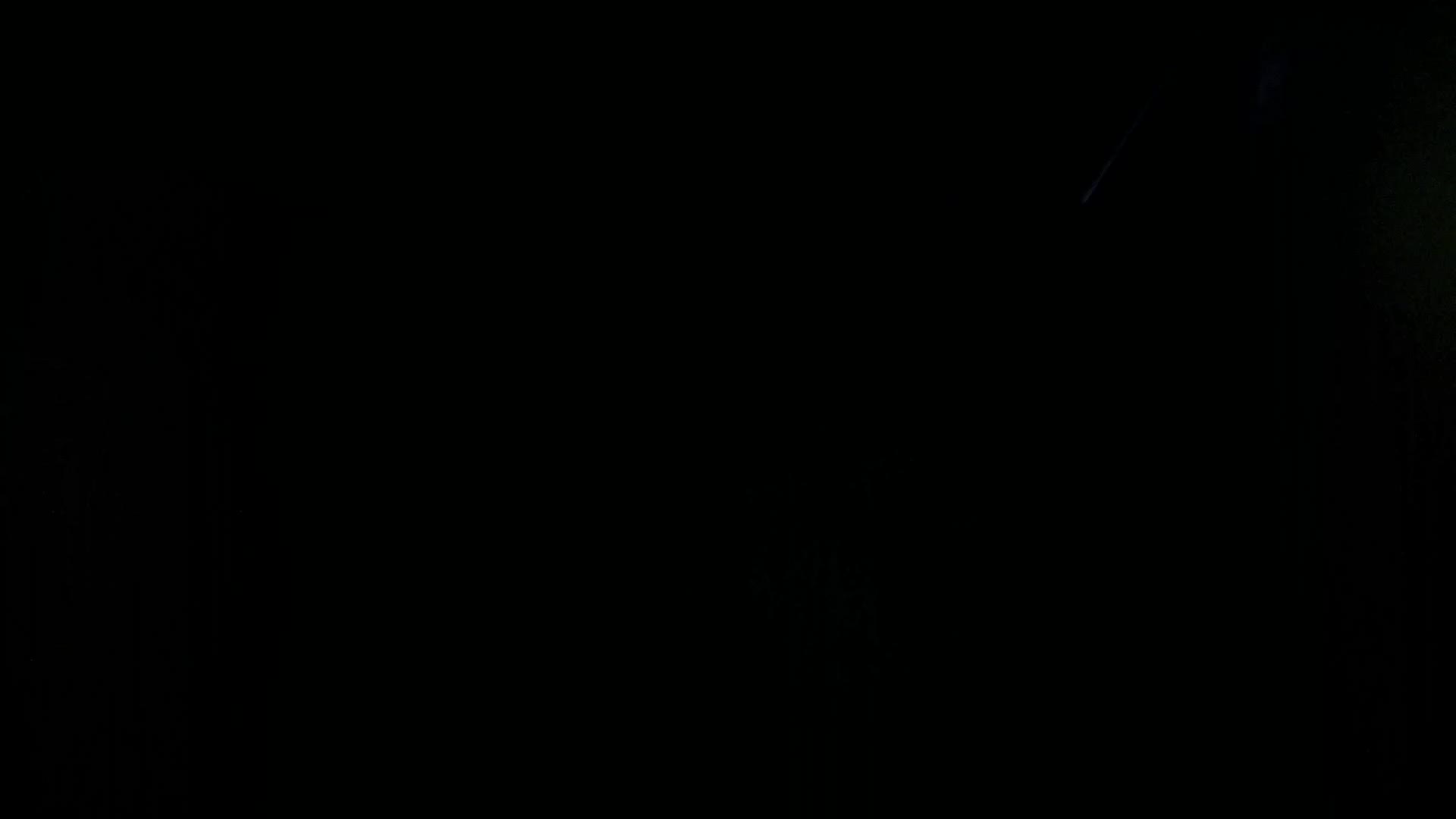 Aufnahme aus dem Vogelhaus