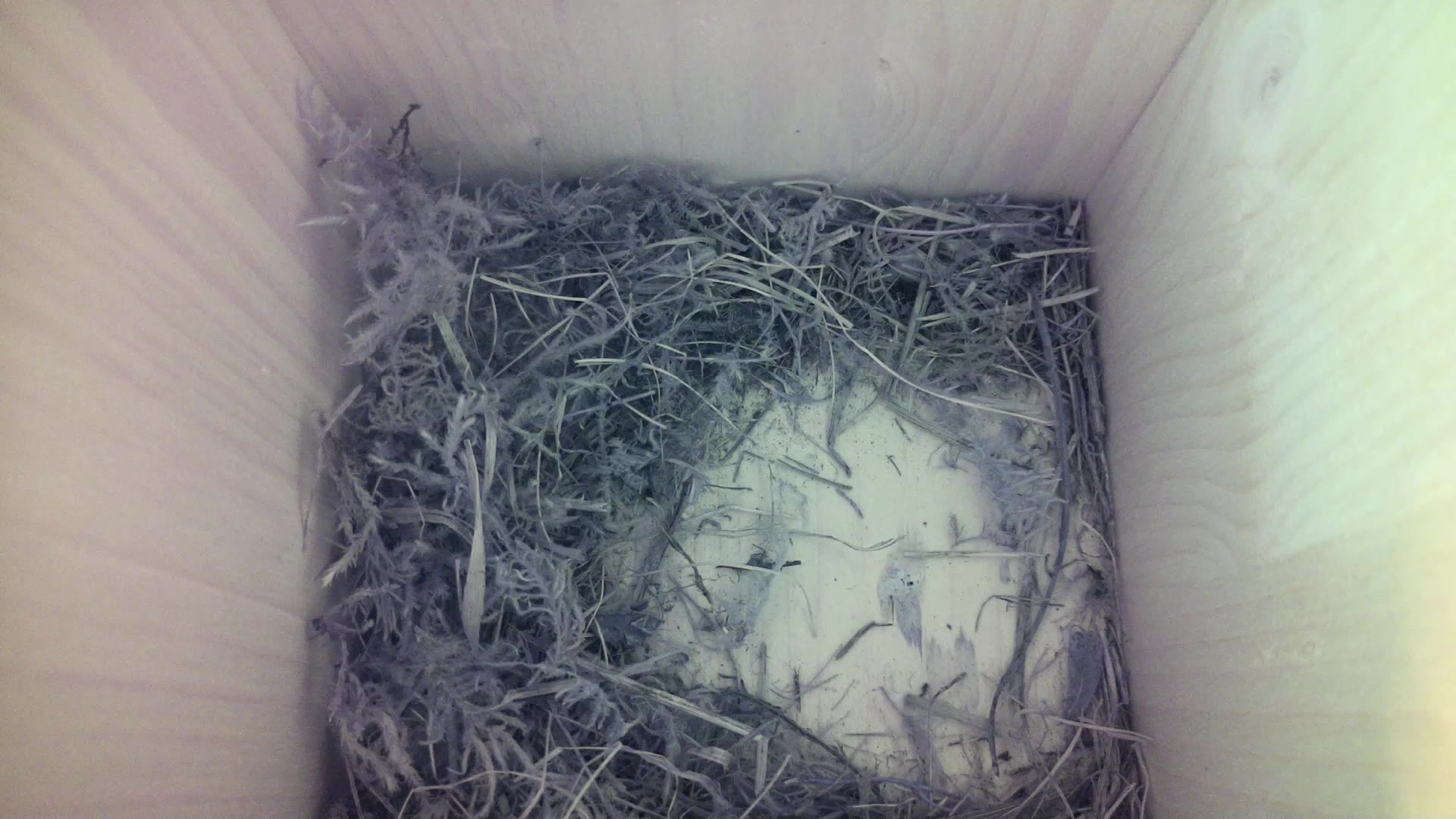 Aufnahme aus dem Vogelhaus