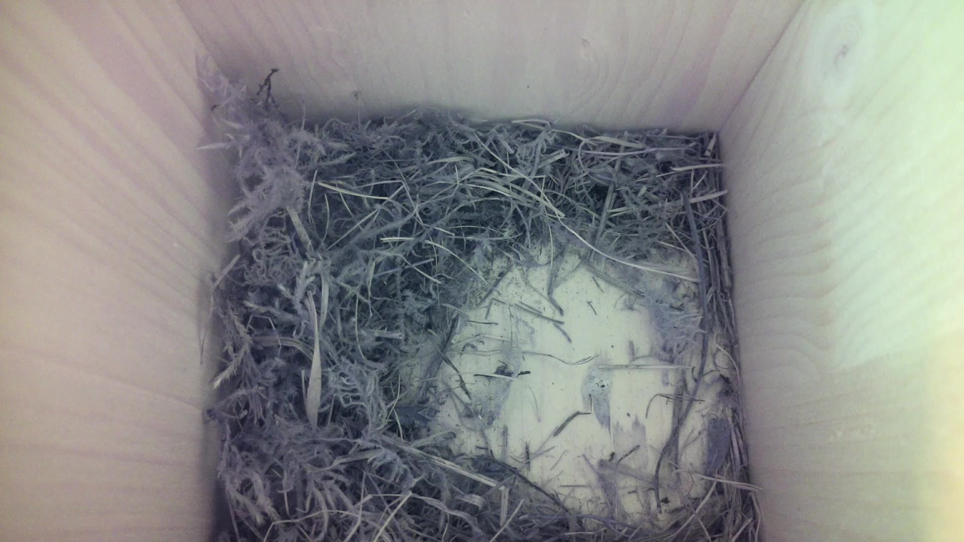 Aufnahme aus dem Vogelhaus