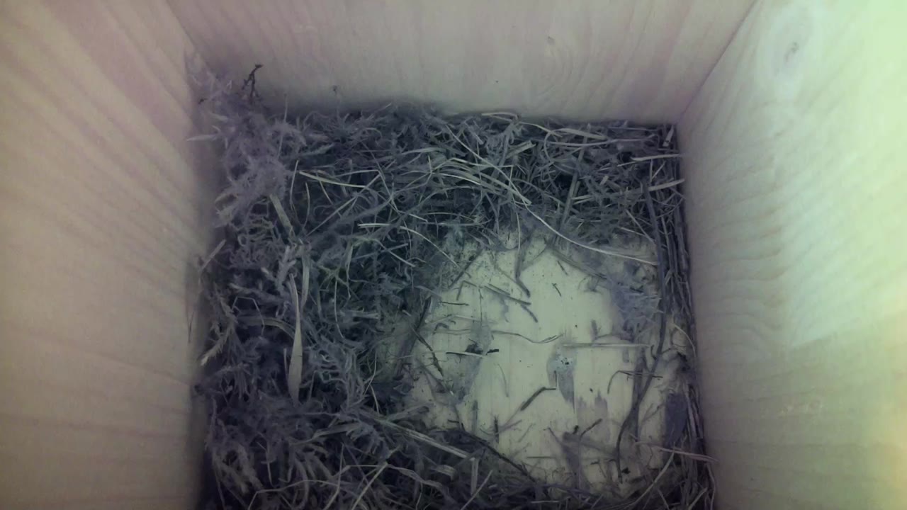Aufnahme aus dem Vogelhaus