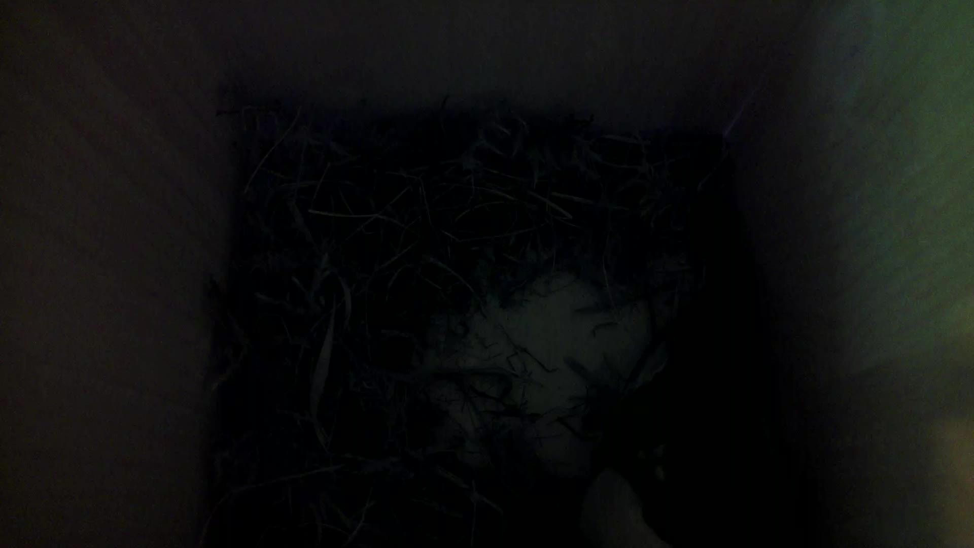 Aufnahme aus dem Vogelhaus