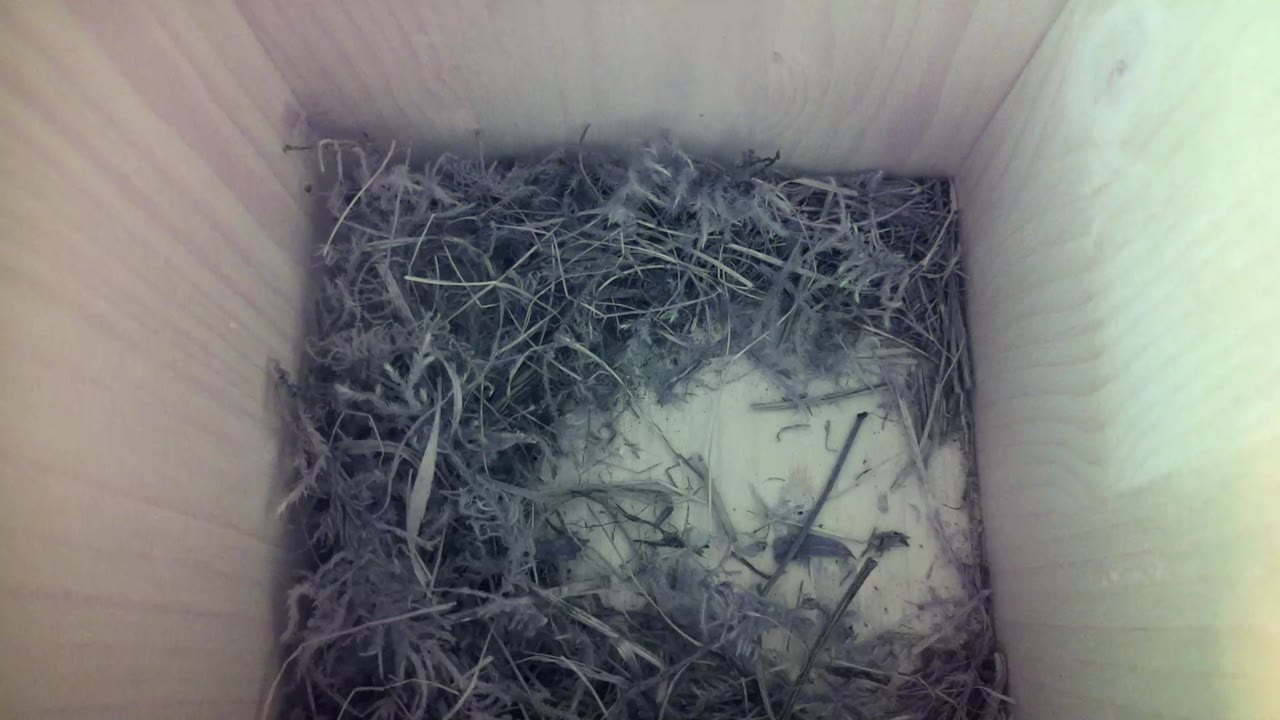 Aufnahme aus dem Vogelhaus