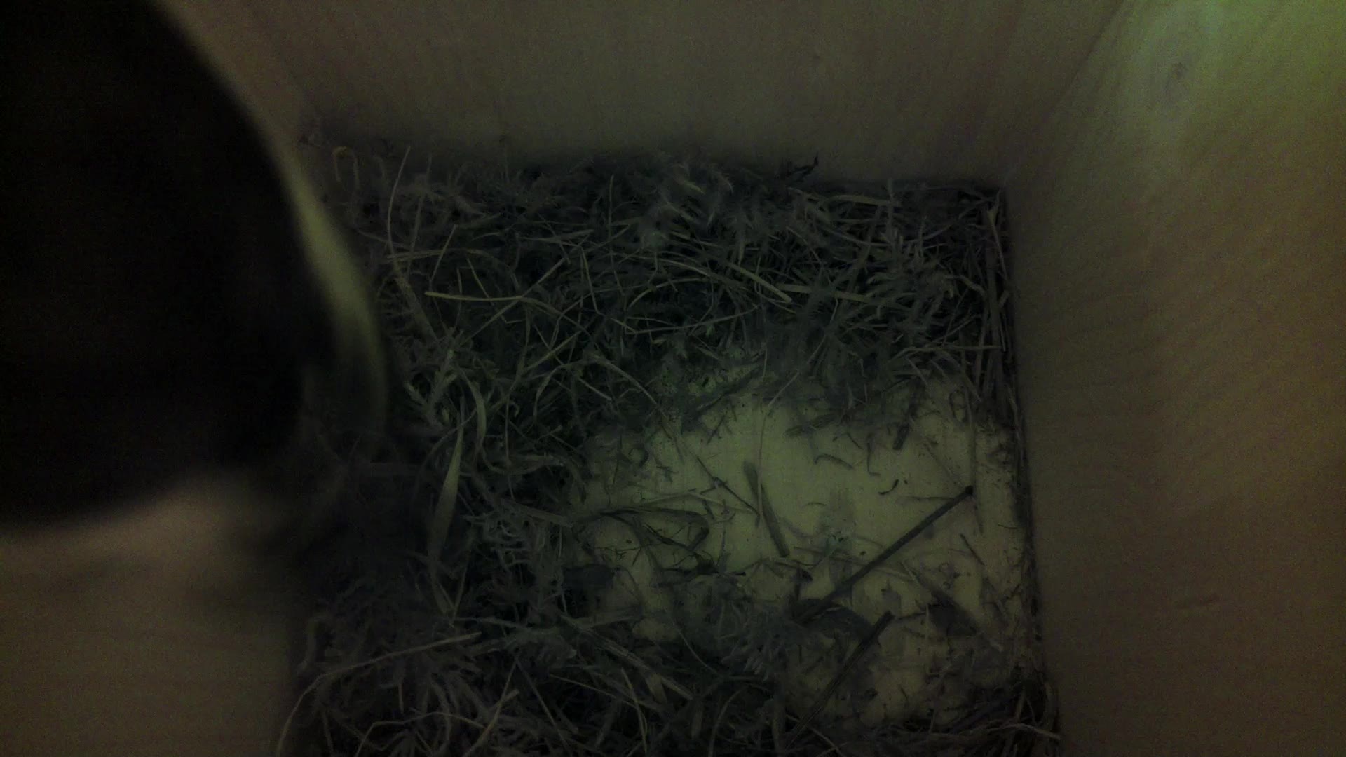 Aufnahme aus dem Vogelhaus