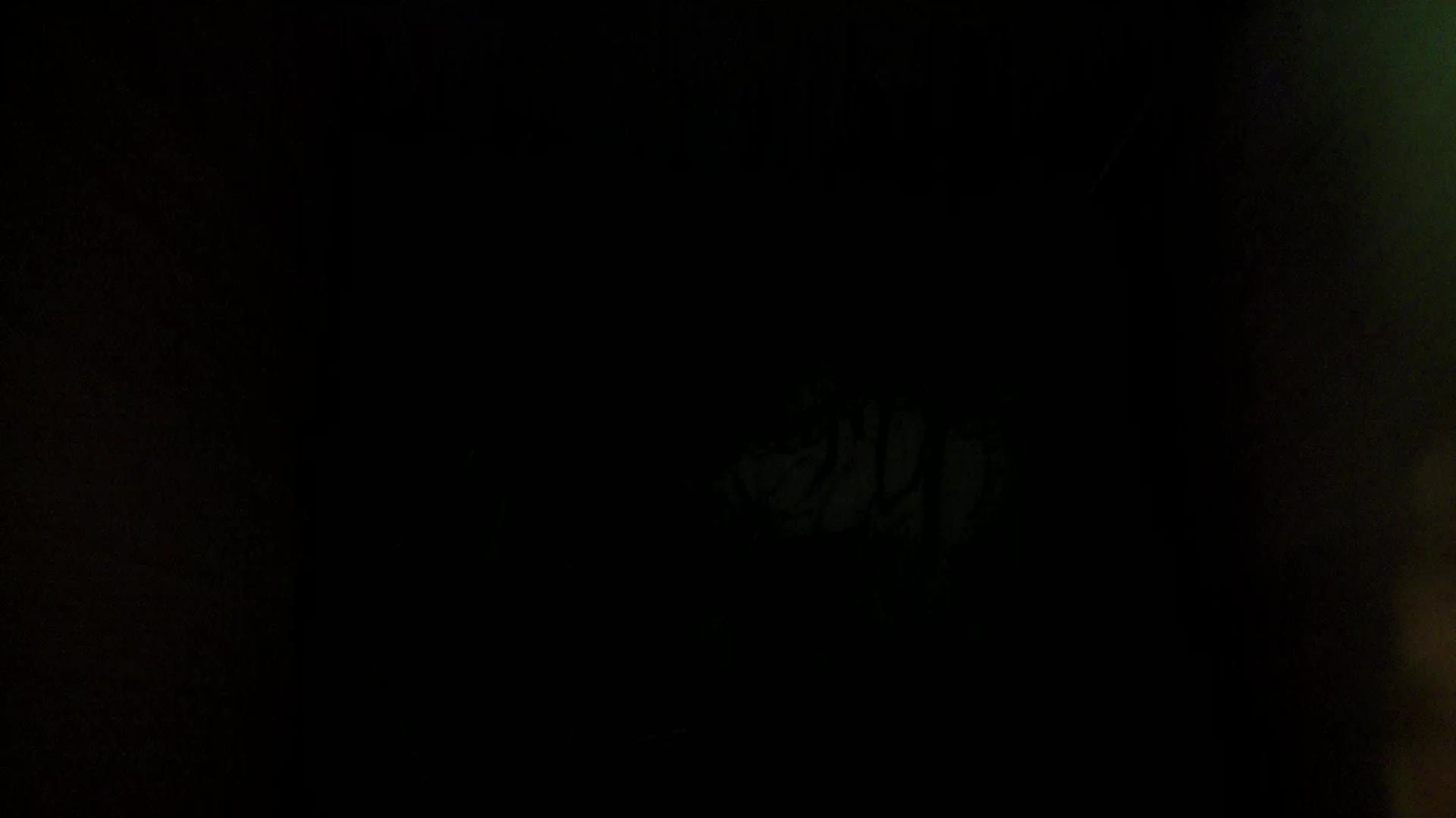 Aufnahme aus dem Vogelhaus