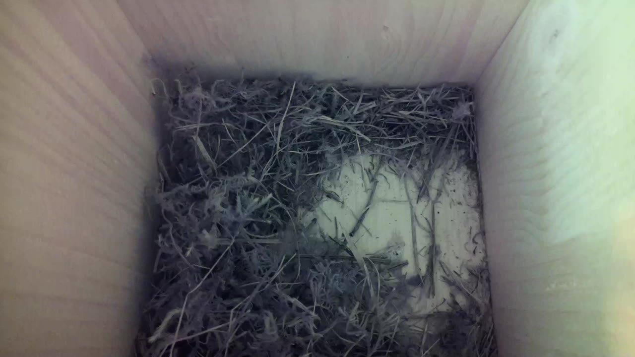 Aufnahme aus dem Vogelhaus