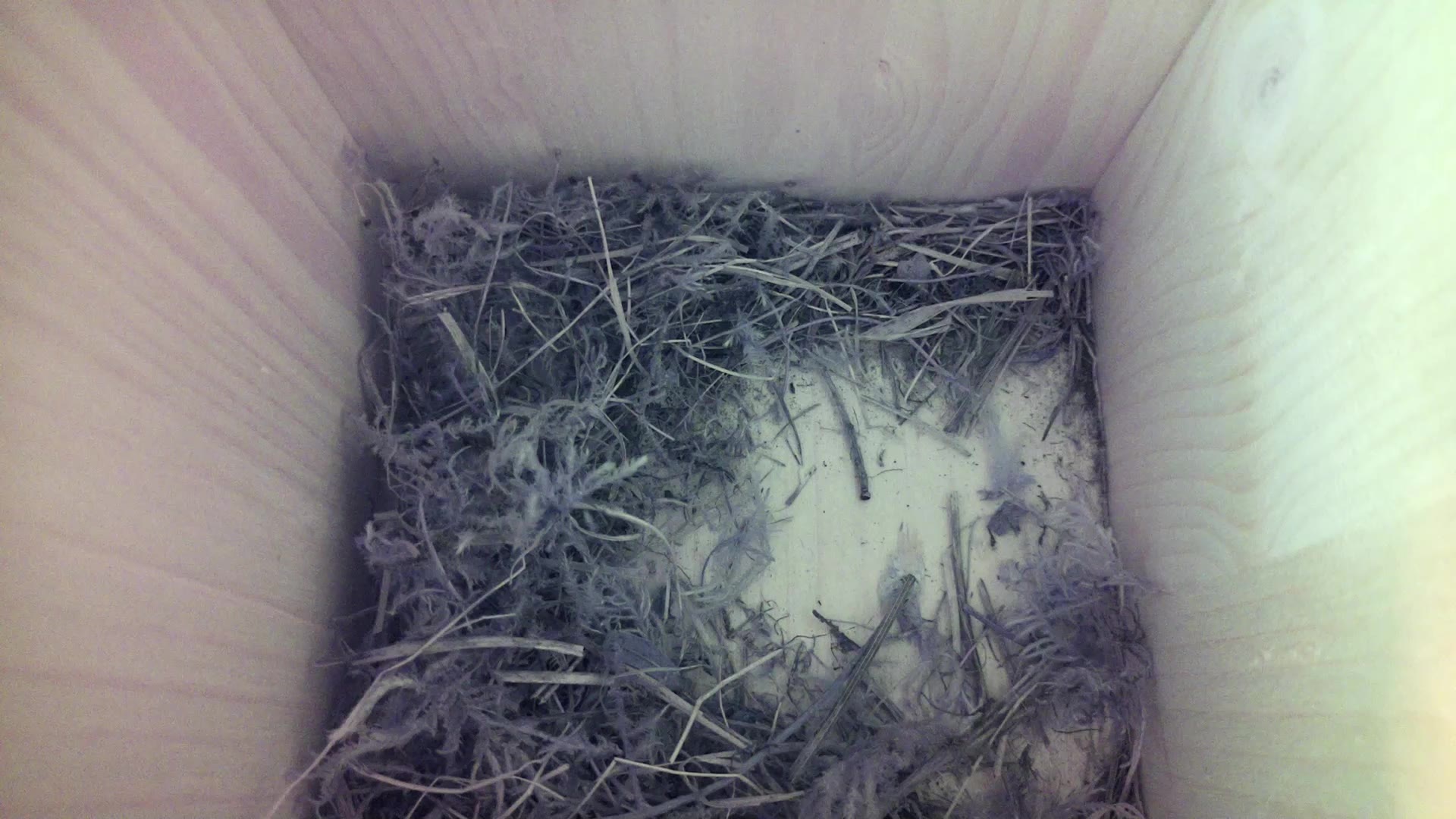 Aufnahme aus dem Vogelhaus